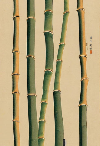 Bamboo Botanical Traditional Wall Art Print – Green Stalk Study on Beige