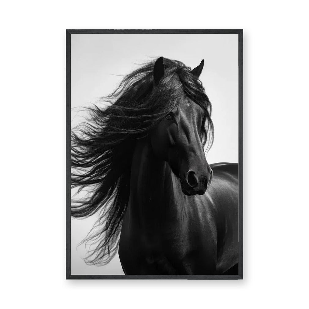 Black Horse Photography Modern Wall Art Poster – Flowing Mane Portrait