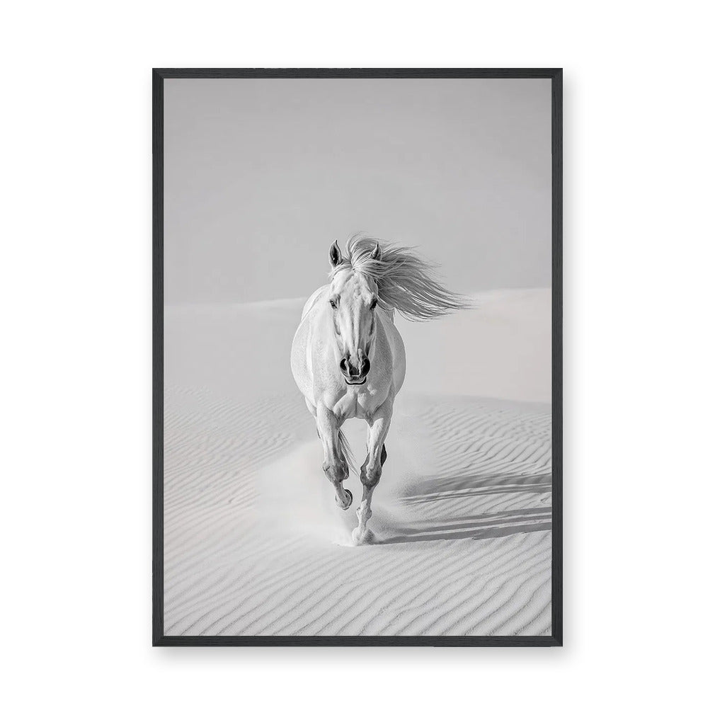 White Horse Desert Photography Modern Wall Decor – Black and White Dunes