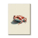 Animals Modern Minimalist Wall Art Print – Red Spotted Frog Illustration