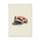 Animals Modern Minimalist Wall Art Print – Red Spotted Frog Illustration