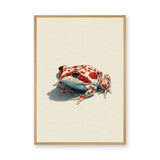 Animals Modern Minimalist Wall Art Print – Red Spotted Frog Illustration