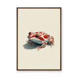 Animals Modern Minimalist Wall Art Print – Red Spotted Frog Illustration