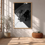Big Cat Photography Modern Wall Art Print – Black and White Panther Jaguar Print