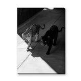 Big Cat Photography Modern Wall Art Print – Black and White Panther Jaguar Print