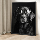Black Dog Glasses Portrait Modern Wall Decor – Eclectic Animal Photography