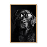 Black Dog Glasses Portrait Modern Wall Decor – Eclectic Animal Photography