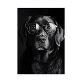 Black Dog Glasses Portrait Modern Wall Decor – Eclectic Animal Photography