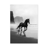 Black Horse Beach Photography Modern Wall Art Poster – Misty Coastal Shoreline