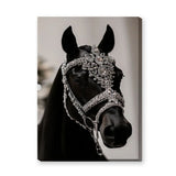 Black Horse Modern Photography Wall Art Print – Jeweled Silver Bridle