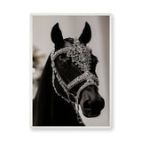 Black Horse Modern Photography Wall Art Print – Jeweled Silver Bridle