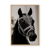 Black Horse Modern Photography Wall Art Print – Jeweled Silver Bridle