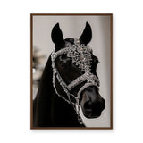 Black Horse Modern Photography Wall Art Print – Jeweled Silver Bridle