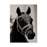 Black Horse Modern Photography Wall Art Print – Jeweled Silver Bridle