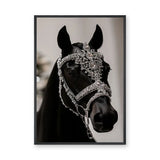 Black Horse Modern Photography Wall Art Print – Jeweled Silver Bridle
