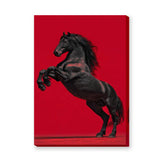 Black Horse Modern Wall Art Print – Rearing Horse on Bold Red Background