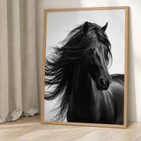 Black Horse Photography Modern Wall Art Poster – Flowing Mane Portrait