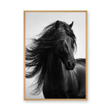 Black Horse Photography Modern Wall Art Poster – Flowing Mane Portrait