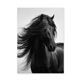 Black Horse Photography Modern Wall Art Poster – Flowing Mane Portrait