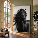 Black Horse Photography Modern Wall Art Poster – Flowing Mane Portrait