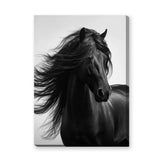 Black Horse Photography Modern Wall Art Poster – Flowing Mane Portrait