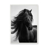 Black Horse Photography Modern Wall Art Poster – Flowing Mane Portrait