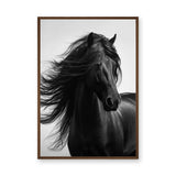 Black Horse Photography Modern Wall Art Poster – Flowing Mane Portrait