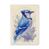 Blue Jay Botanical Traditional Wall Art Poster – Cream Floral Line Study