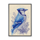 Blue Jay Botanical Traditional Wall Art Poster – Cream Floral Line Study