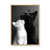 Cat Photography Modern Wall Art Poster – Black and White Cats Nuzzling