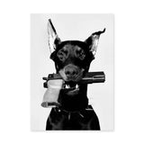 Doberman Modern Wall Art Print – Black and White Armed Dog Portrait