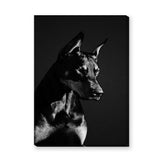 Doberman Portrait Modern Wall Art Print – Black-and-White Dog Photography