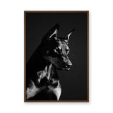 Doberman Portrait Modern Wall Art Print – Black-and-White Dog Photography