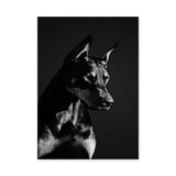 Doberman Portrait Modern Wall Art Print – Black-and-White Dog Photography