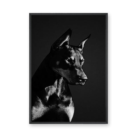 Doberman Portrait Modern Wall Art Print – Black-and-White Dog Photography