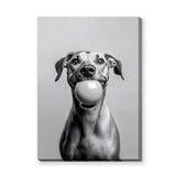 Happy Dog Modern Wall Art Print – Black and White Portrait With Ball