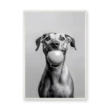 Happy Dog Modern Wall Art Print – Black and White Portrait With Ball