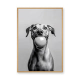 Happy Dog Modern Wall Art Print – Black and White Portrait With Ball