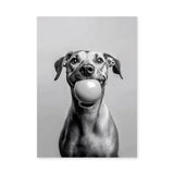 Happy Dog Modern Wall Art Print – Black and White Portrait With Ball