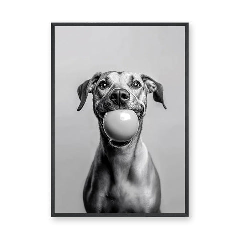 Happy Dog Modern Wall Art Print – Black and White Portrait With Ball