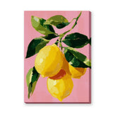 Lemon Botanical Modern Wall Decor – Pink Painterly Citrus Branch