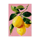 Lemon Botanical Modern Wall Decor – Pink Painterly Citrus Branch