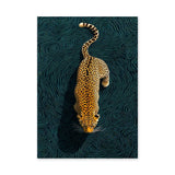 Leopard Modern Abstract Wall Decor – Teal Contour Line Animal Print