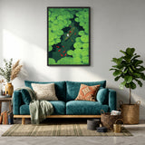 Lily Pond Boat Botanical Wall Art Poster – Rowboat with Koi and Lily Pads