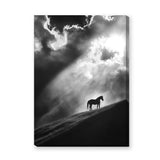 Lone Horse Silhouette Modern Wall Decor – Dramatic Black-and-White Photo