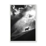 Lone Horse Silhouette Modern Wall Decor – Dramatic Black-and-White Photo