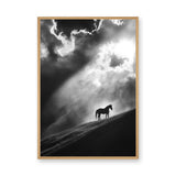 Lone Horse Silhouette Modern Wall Decor – Dramatic Black-and-White Photo