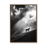 Lone Horse Silhouette Modern Wall Decor – Dramatic Black-and-White Photo