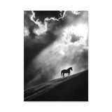 Lone Horse Silhouette Modern Wall Decor – Dramatic Black-and-White Photo