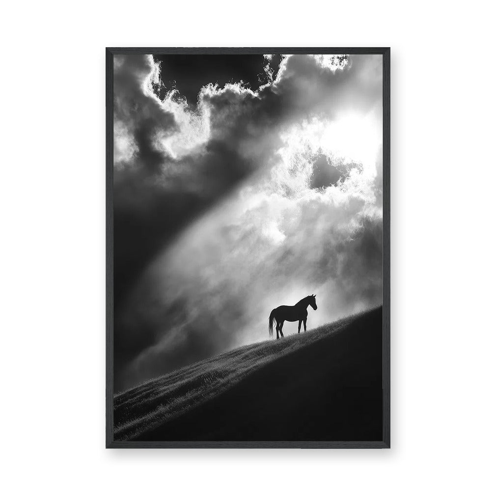 Lone Horse Silhouette Modern Wall Decor – Dramatic Black-and-White Photo